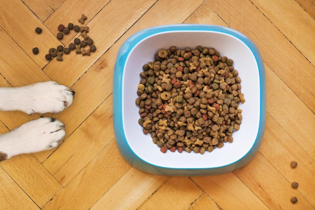 dry dog food, dog training, kibble, dog stay, dog training, kibble, kibble, kibble, kibble, kibble